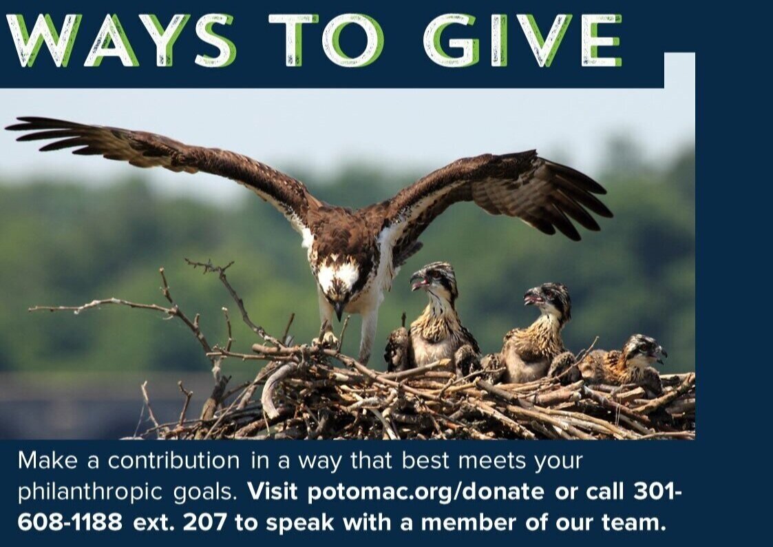waystogive2.jpg